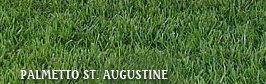 St. Augustine