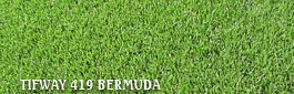Types of Sod